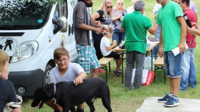 O nouă ediție a Târgului de Adopție Canină are loc sâmbătă