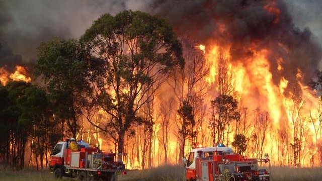 Stare de urgență în Australia. Orașe întregi au fost evacuate