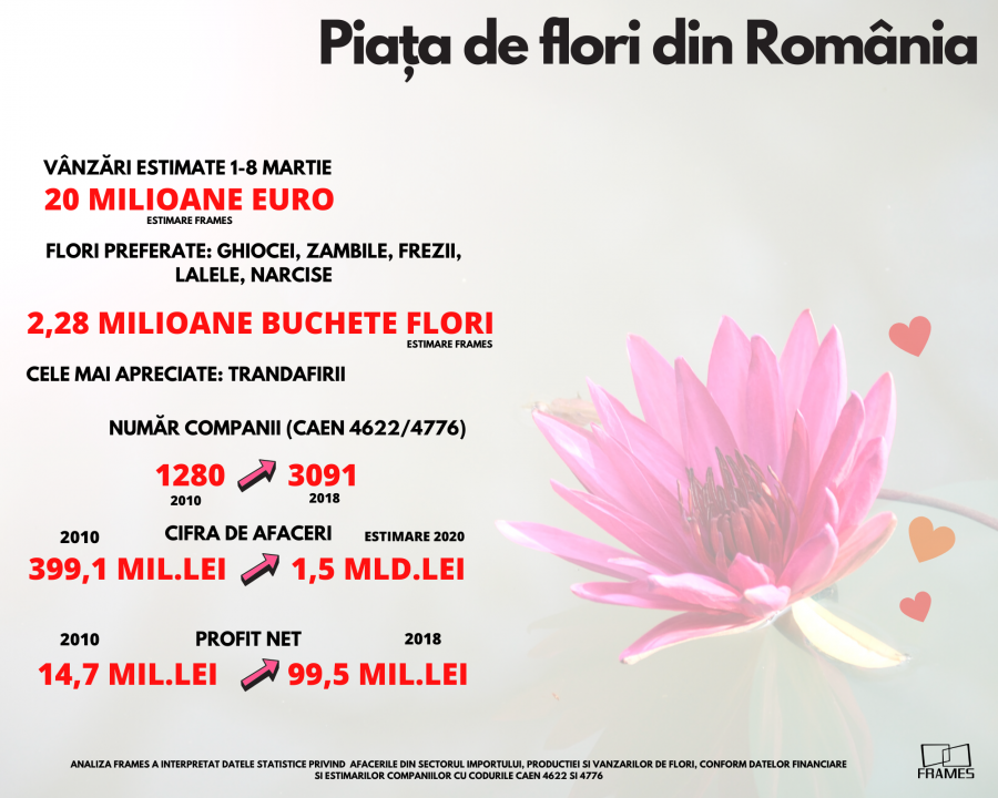 Florile de Mărțișor și de 8 Martie, un business de peste 20 de milioane de euro - analiză Frames