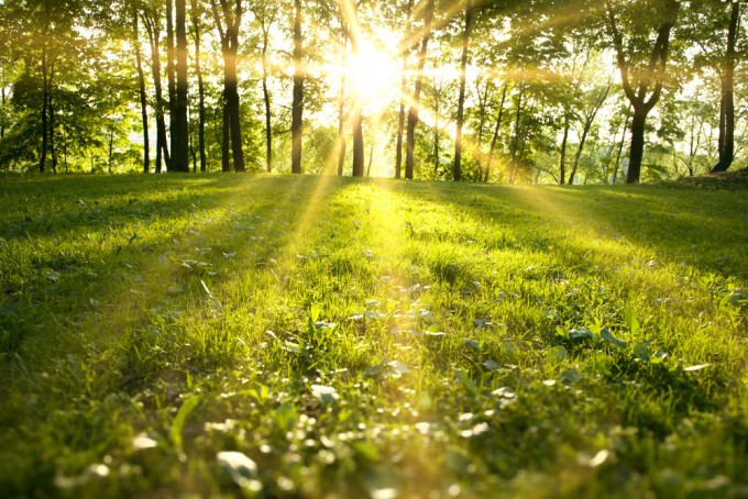 Prognoza meteo până în 29 martie