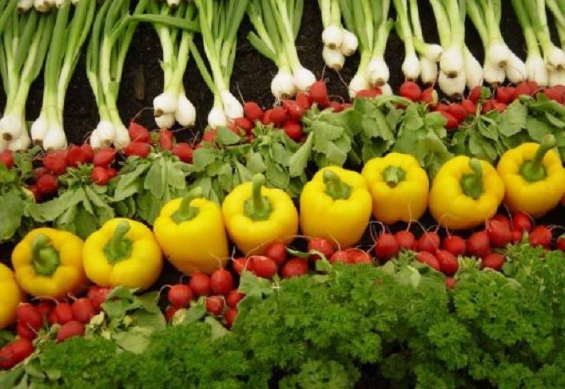 O veste bună! Platformă online unde micii producători își pot vinde legumele