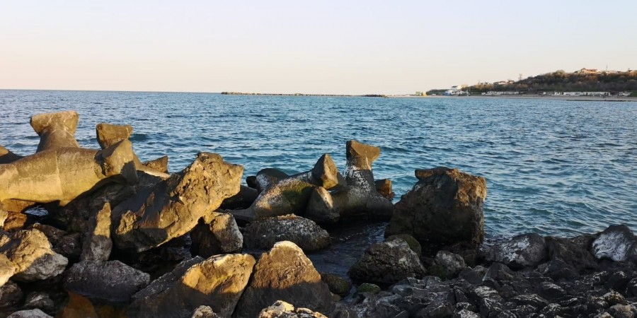 Marea Neagră și plajele de pe litoral, în plin proces de refacere. Delfinii vin tot mai aproape de mal