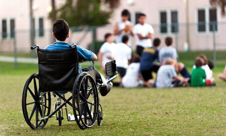 Legea privind protecţia şi promovarea drepturilor persoanelor cu handicap, promulgată de președinte