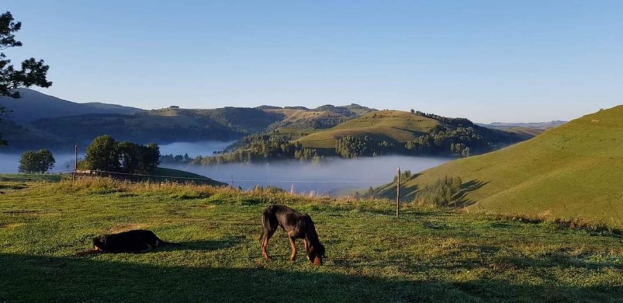 Ziua mondială a fotografiei