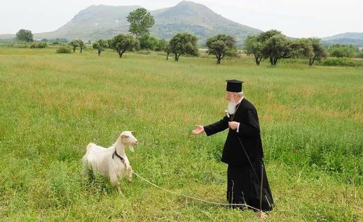 Mesajul Patriarhului Ecumenic, la începutul noului an bisericesc: Respectul pentru mediu este o slăvire practică a numelui lui Dumnezeu