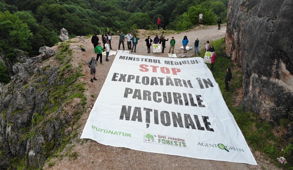 Victorie uriașă pentru Agent Green: 20.000 de hectare de păduri seculare, protejate definitiv în Parcul Naţional Domogled-Valea Cernei!
