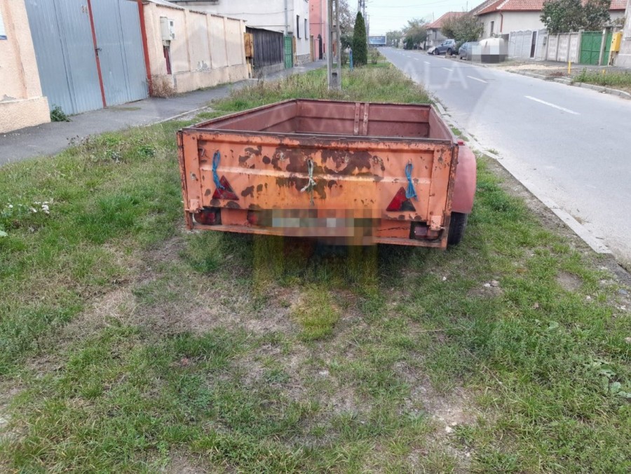 Care au fost rezultatele unei acțiuni a Poliției Locale în Aradul Nou, Grădiște, Gai și Bujac (FOTO)