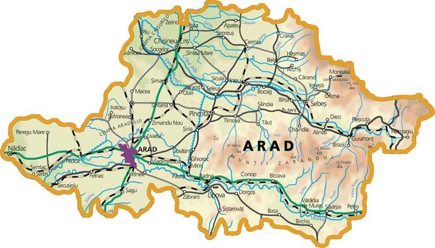 SITUAȚIA LA ZI A CAZURILOR DE COVID-19 ÎN JUDEȚUL ARAD