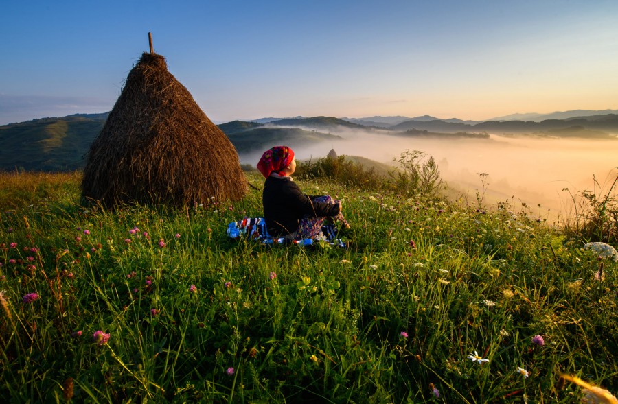 Ziua artei fotografice în România, marcată în fiecare an în data de 11 ianuarie