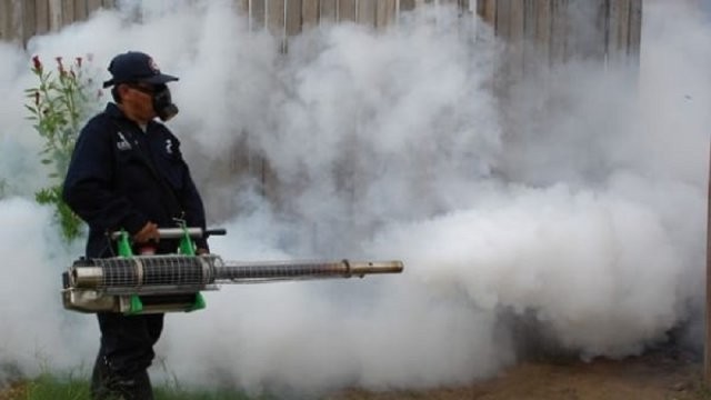 Când începe operaţiunea de combatere a ţânţarilor din municipiu
