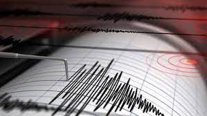 Trei cutremure au avut loc în noaptea de luni spre marți, în zona seismică Vrancea