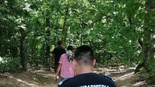 Jandarmii arădeni au prins doi bărbați care au tăiat ilegal mai mulți arbori din Valea Mare