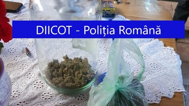 Descinderi în județul Arad într-un dosar de trafic de droguri