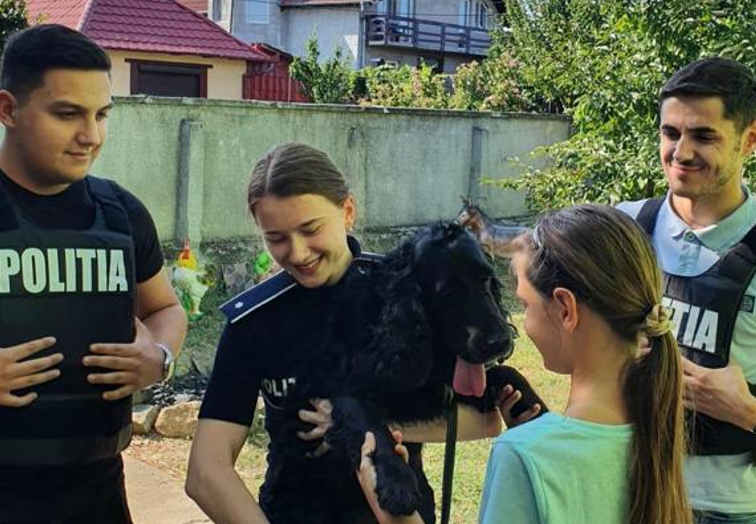 Poveste cu final fericit. Câine dispărut din Arad în urmă cu un an, găsit de Poliția Animalelor la Șicula