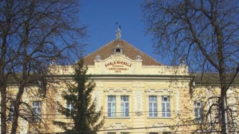 Şcoală online la Colegiul Naţional „Preparandia-Dimitrie Ţichindeal” din cauza coronavirusului