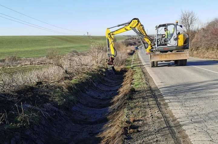 500 de salcâmi pe marginea drumurilor judeţene (FOTO)