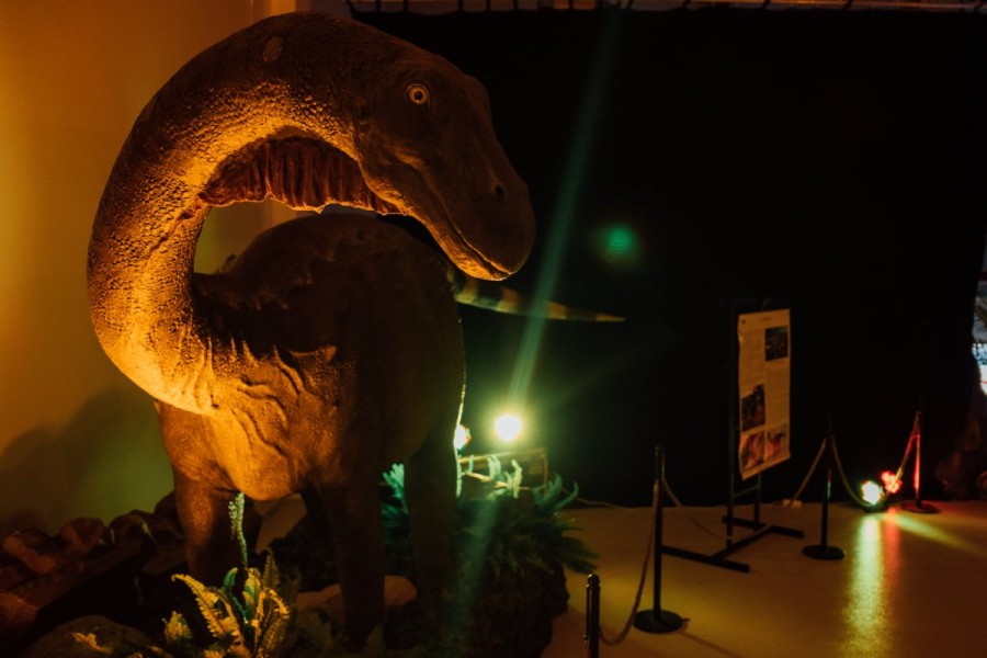 Când se deschide expoziţia „Living Dinosaurs Experience!” care va avea loc la Expo Arad