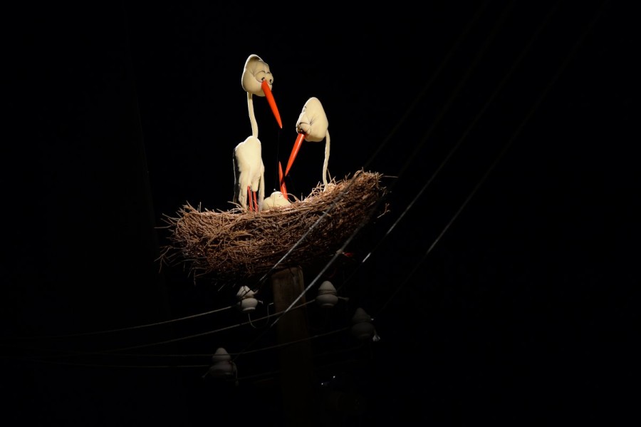 „Sperietoarea de păsări” - duminică, 27 martie, pe scena Trupei Marionete