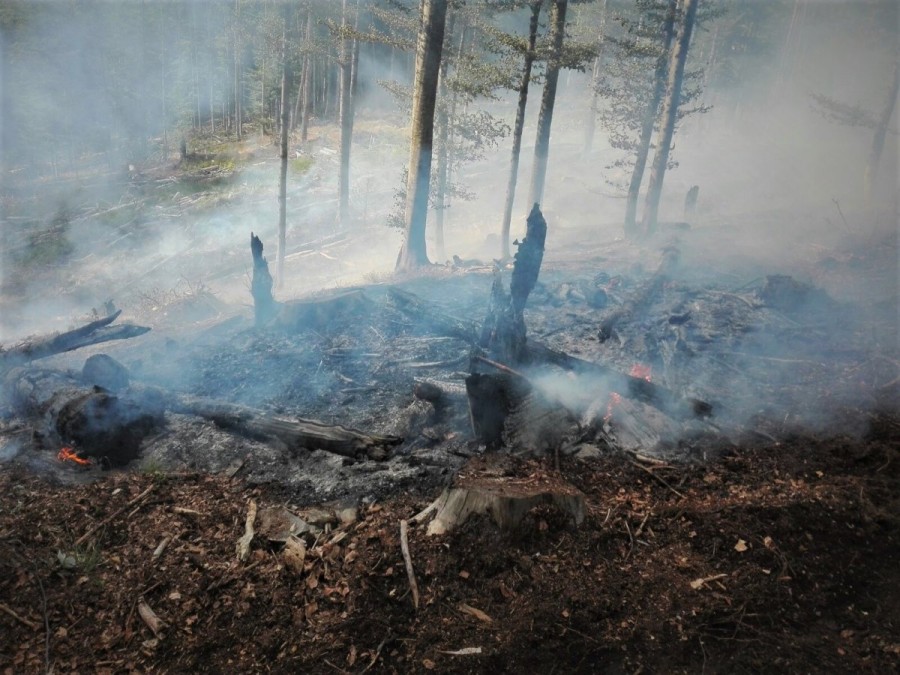 Romsilva atrage atenția asupra riscului extinderii incendiilor provocate de arderea miriștilor