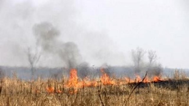 Ce trebuie să faceţi atunci când daţi foc vegetaţiei uscate şi resturilor vegetale