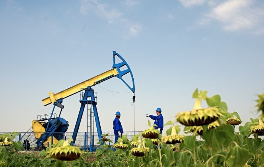 Panfora Oil nu va exploata resursele din zona Curtici