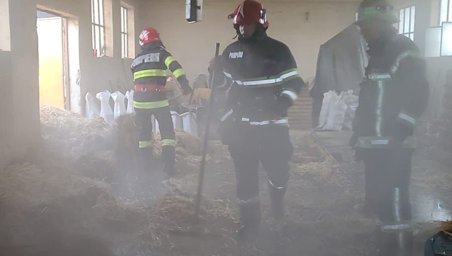 Incendiu izbucnit în hala de producție a unei fabrici de peleți din localitatea Secusigiu (ard paiele din care urmează a fi fabricați peleții)