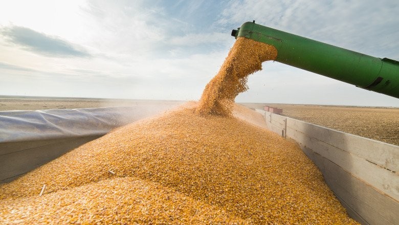 De ce se retrage Rusia din acordul de export al cerealelor