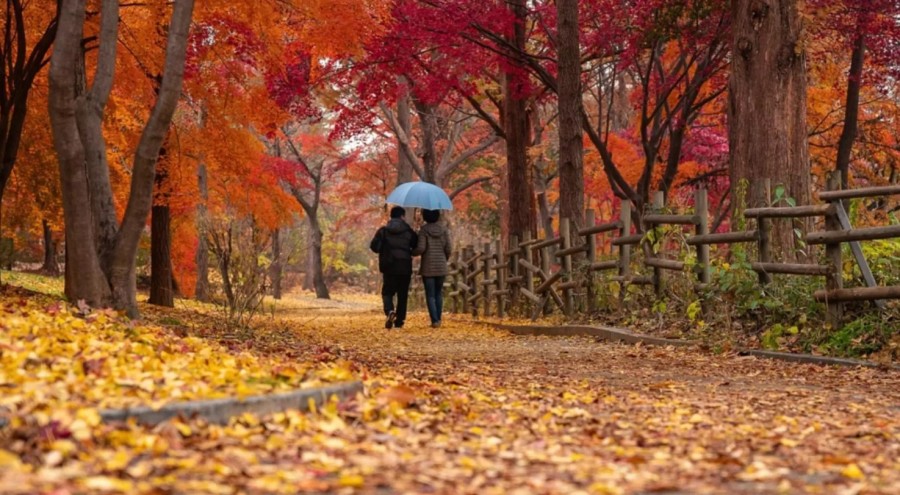 Prognoza meteo pe o lună. Temperaturi neobișnuit de mari în octombrie. Când încep ploile