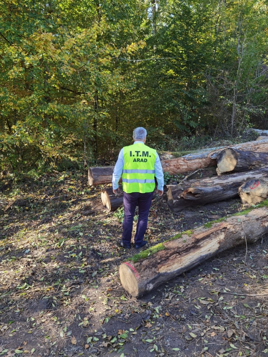 Inspectorii ITM au verificat echipamentele de exploatare a lemnului