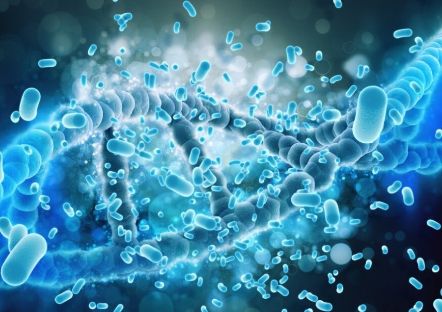 Microbiomul: Gardianul al Sănătății Noastre