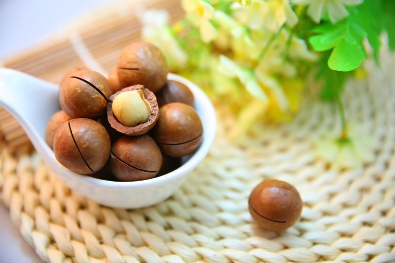 Descoperă Puterea Nutritivă și Beneficiile Uimitoare ale Nucilor de Macadamia