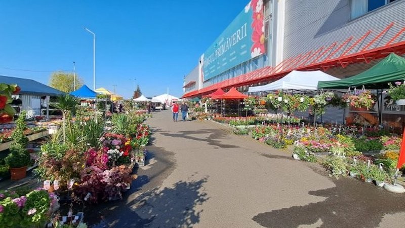 Târguri dedicate florilor, amenajării grădinii și construcţiilor la Expo Arad, 18-21 aprilie