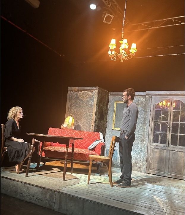 FELICITĂRI TEATRULUI ARĂDEAN. APRECIERI PUBLICULUI 
