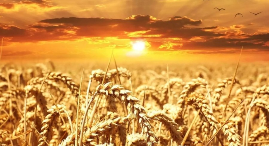 Prognoza meteo pe o lună: urmează un nou val de caniculă - temperaturi sufocante, nopți tropicale. ANM anunță fluctuații majore