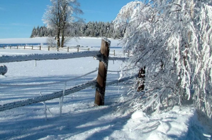 Iarnă blândă în România: valori termice peste normal. Cum vor arăta primele zile din ianuarie