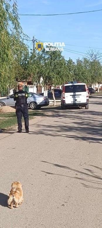 Razie în zona Chișine-Criș: amenzi de 40.000 lei și două persoane duse la Poliție (FOTO)