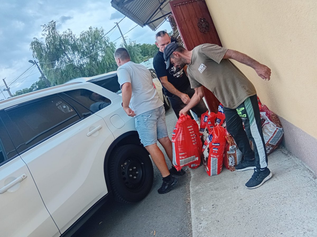Cum pot fi transformate în hrană pentru câinii de la Adăpostul Public PET-urile colectate prin muncă în folosul comunității