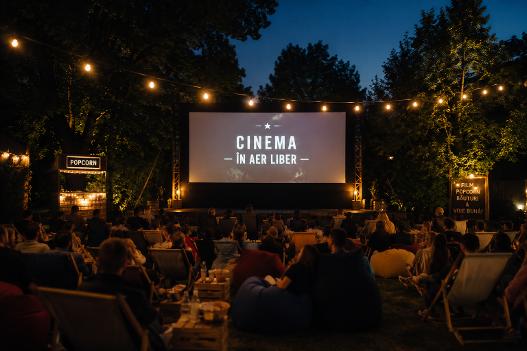 Proiecții de film pentru copii în cartierele Aradului
