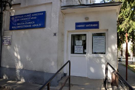 700 de arădeni au ajuns la Cabinetul Antirabic după ce au fost mușcați sau zgâriați de animale