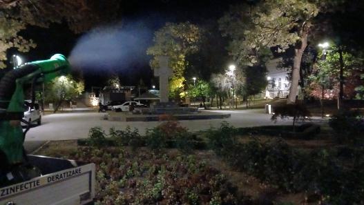 Tratamente împotriva țânțarilor în municipiul Arad, în perioada 1-2 septembrie