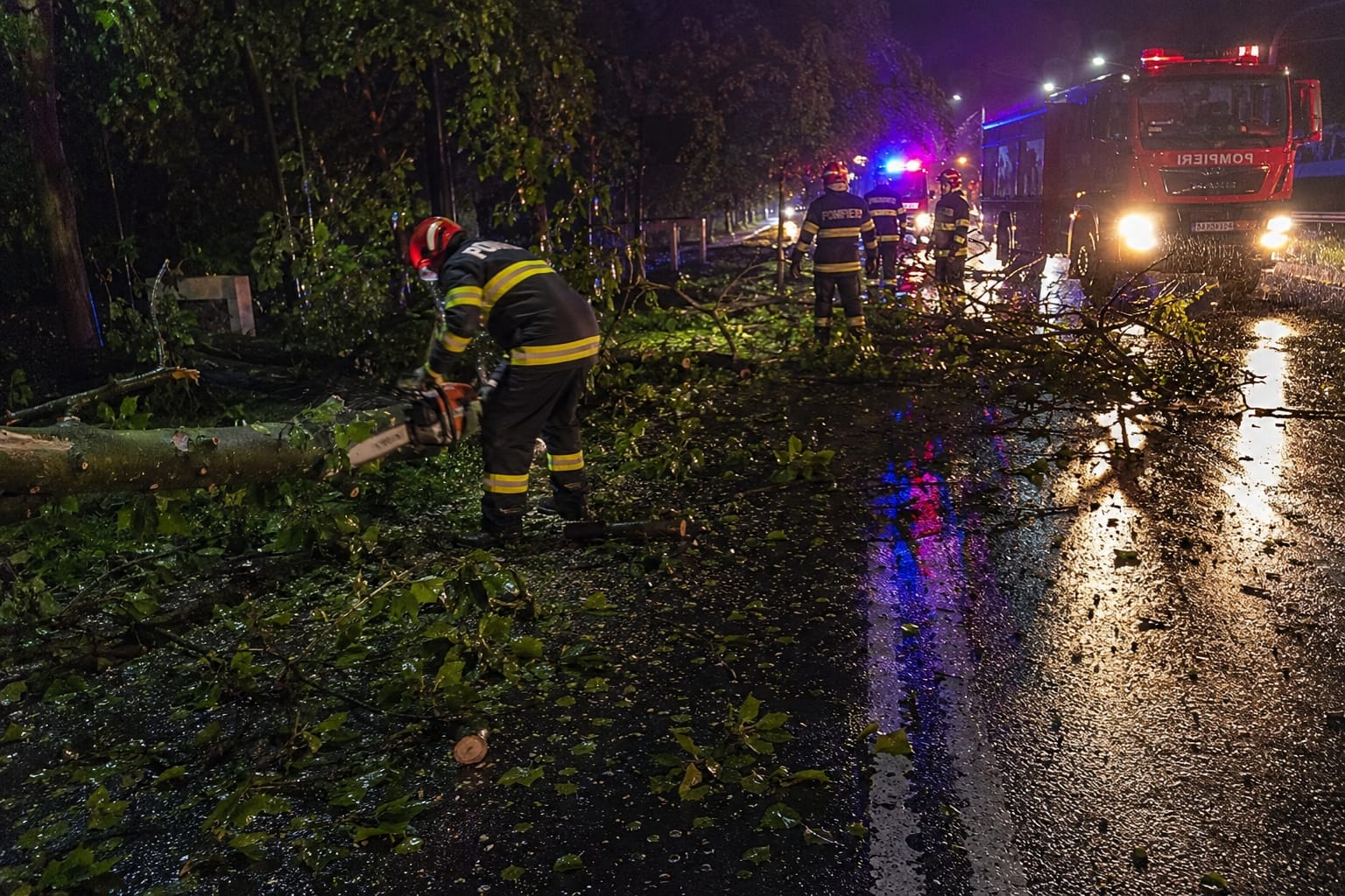 Vânt puternic, copaci doborâți și incendii de vegetație în Arad. Pompierii au intervenit în mai multe localități