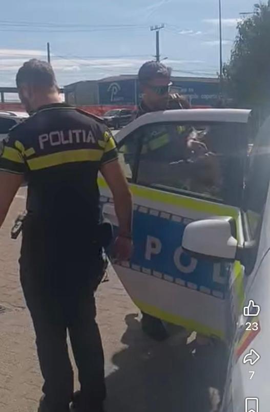 Scandal în parcarea unui supermarket din Arad: polițiștii au încătușat două femei. Cinci persoane, amendate cu 16.500 de lei