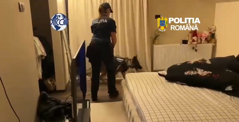 17 inculpați reținuți în Arad într-un dosar de trafic de droguri. Nouă persoane, propuse pentru arest preventiv VIDEO