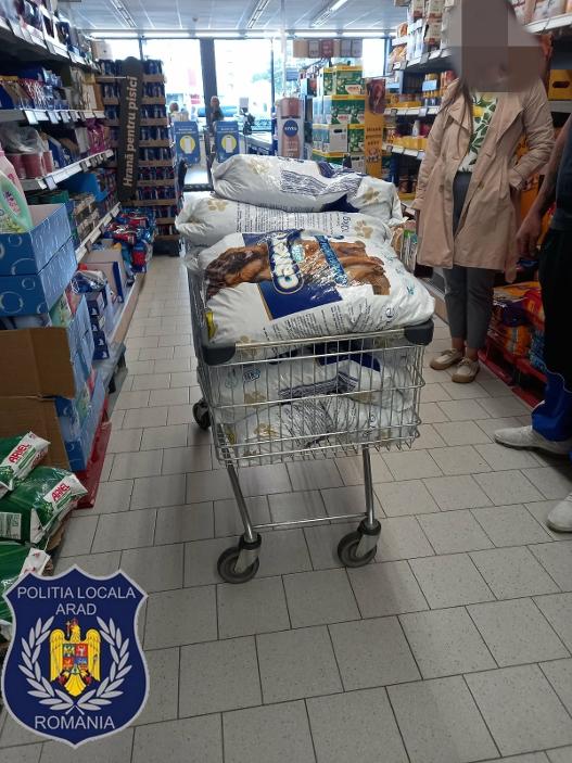  Din PET-uri, hrană pentru câinii din adăpost. Un proiect comunitar prinde contur la Arad