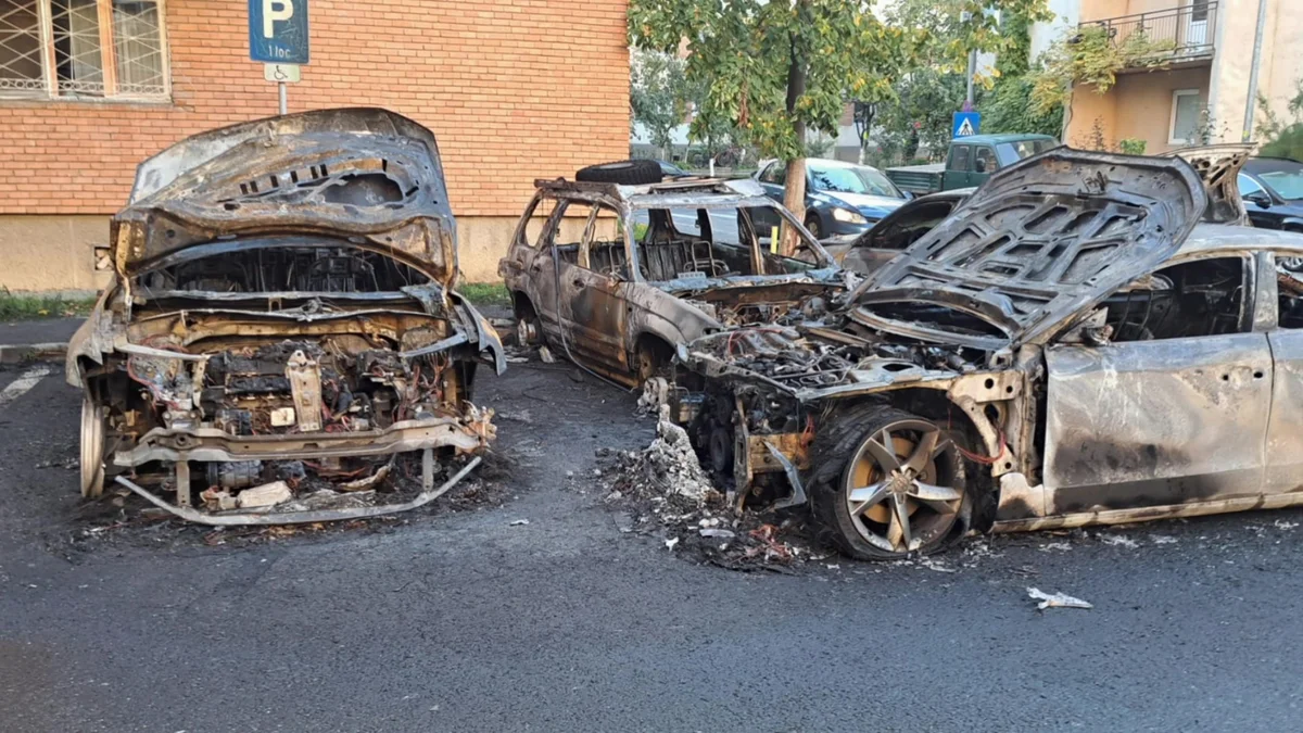Incendiul din Micălaca: 5 ani de închisoare pentru un arădean