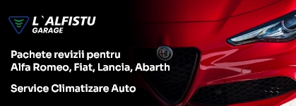 Service auto Arad, Clime Arad